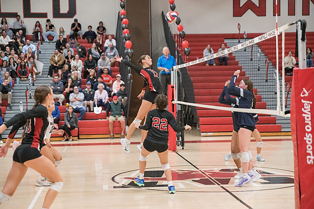 Fairfield Warde's Ivy Feay goes up for a hit. - Photo courtesy of Liam Donovan
